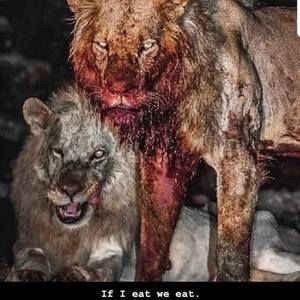 Meet your Posher, Aage